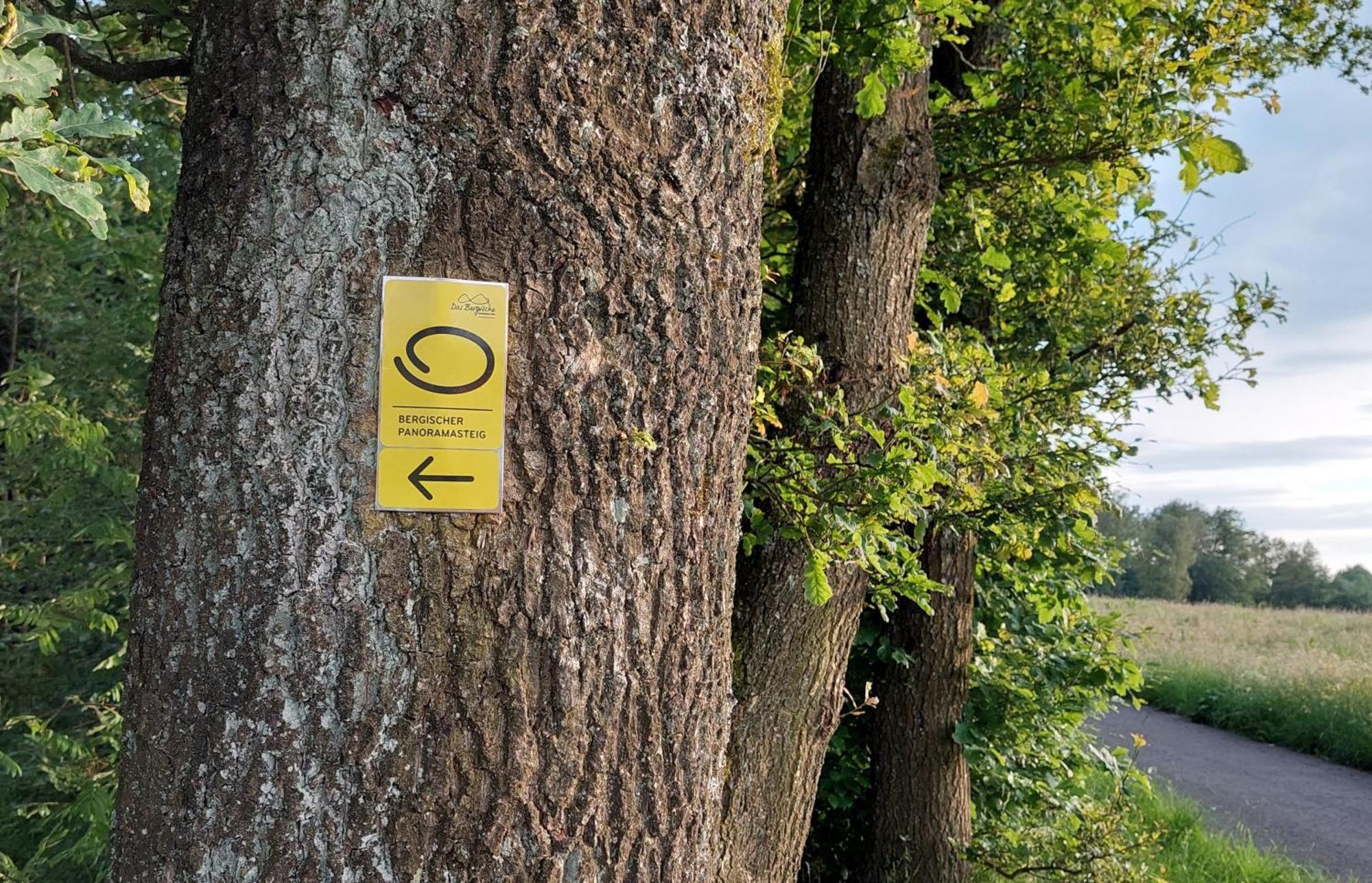 Ferienwohnung Waldbroel - Nahe Naturerlebnispark Waldbrol Bagian luar foto