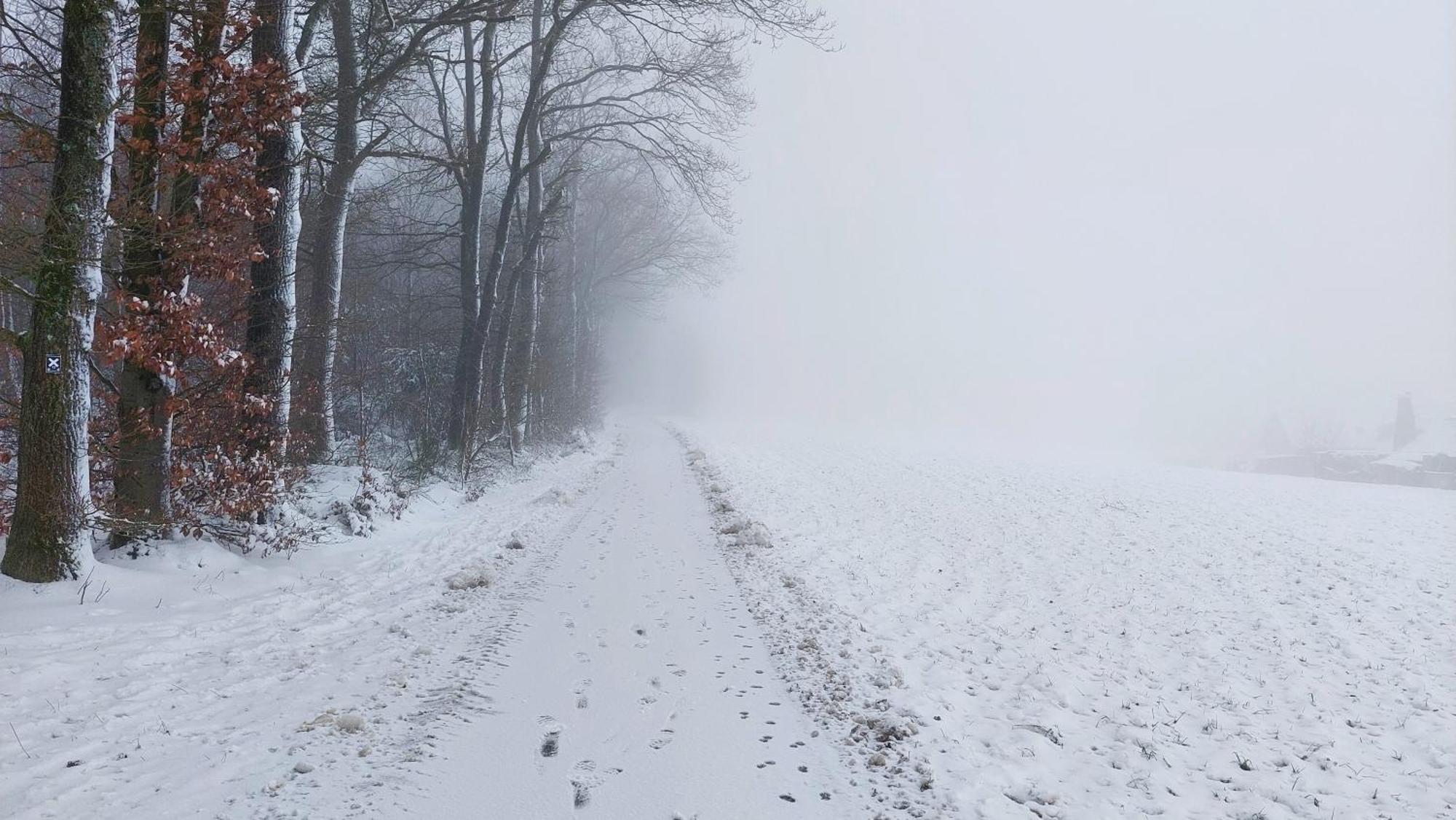 Ferienwohnung Waldbroel - Nahe Naturerlebnispark Waldbrol Bagian luar foto